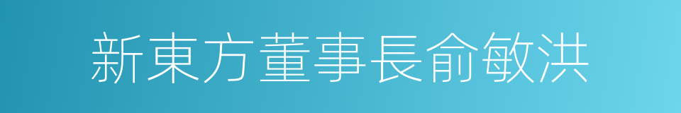 新東方董事長俞敏洪的同義詞