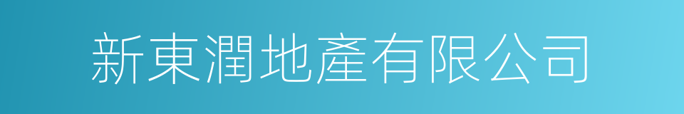 新東潤地產有限公司的同義詞