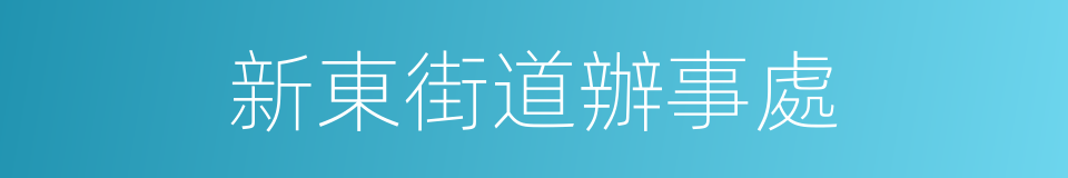 新東街道辦事處的同義詞