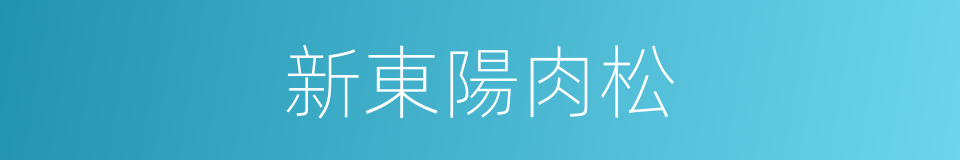 新東陽肉松的同義詞