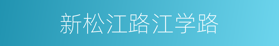 新松江路江学路的同义词