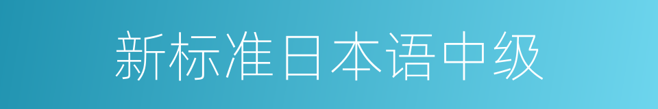 新标准日本语中级的同义词