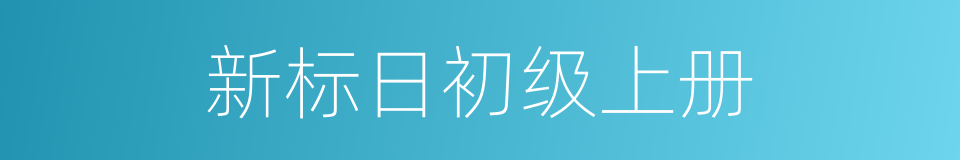 新标日初级上册的同义词