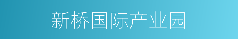 新桥国际产业园的同义词