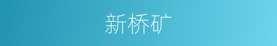 新桥矿的同义词