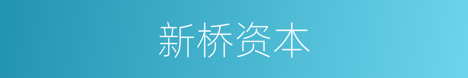 新桥资本的同义词