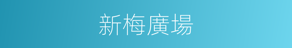 新梅廣場的同義詞