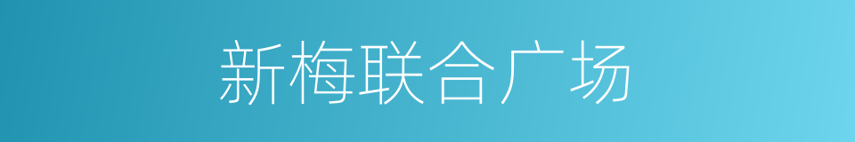 新梅联合广场的同义词