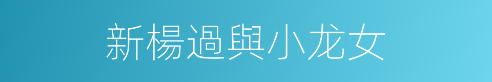 新楊過與小龙女的同義詞