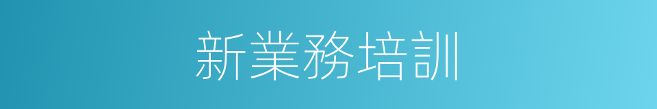 新業務培訓的同義詞