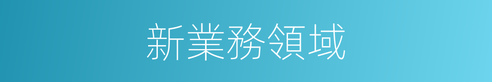 新業務領域的同義詞