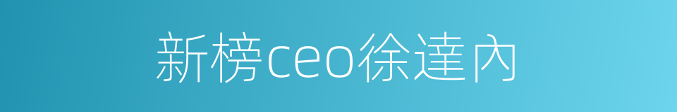 新榜ceo徐達內的同義詞