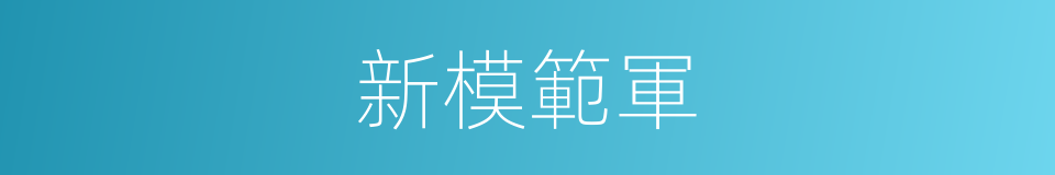 新模範軍的意思