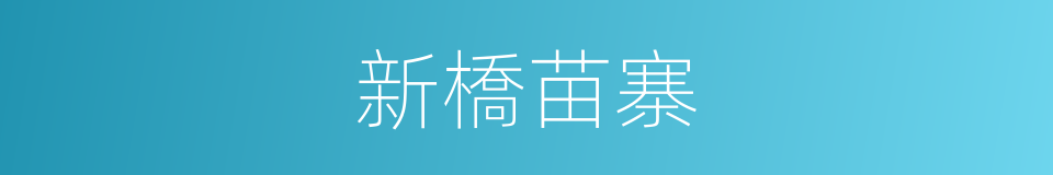 新橋苗寨的同義詞