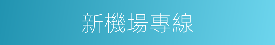 新機場專線的同義詞
