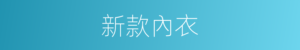 新款內衣的同義詞