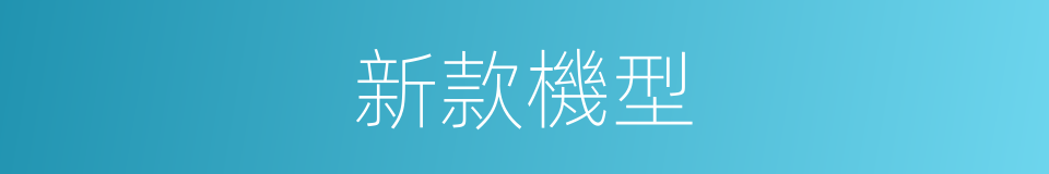 新款機型的同義詞
