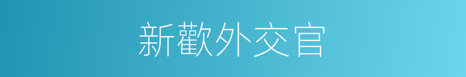 新歡外交官的同義詞