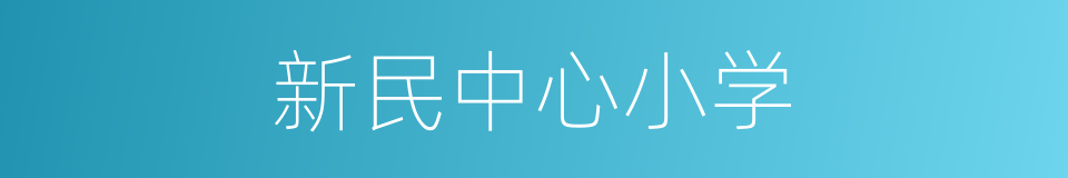 新民中心小学的同义词