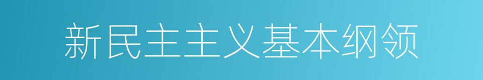 新民主主义基本纲领的同义词