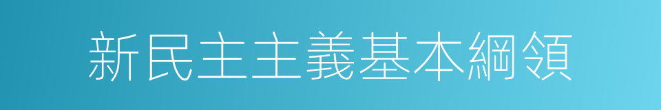 新民主主義基本綱領的同義詞