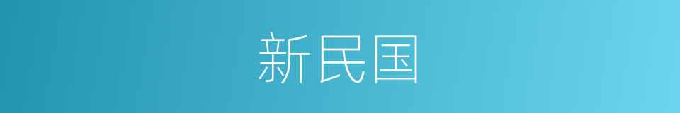 新民国的同义词