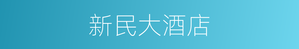 新民大酒店的同义词