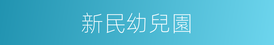 新民幼兒園的同義詞