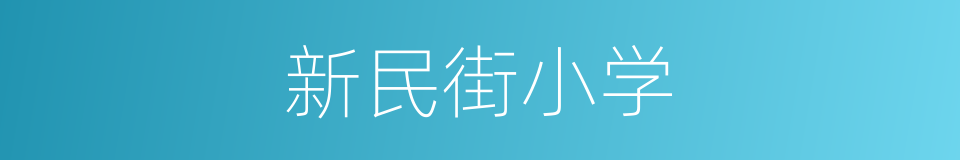 新民街小学的同义词