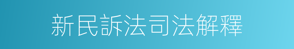 新民訴法司法解釋的同義詞