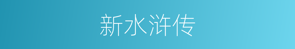 新水浒传的同义词