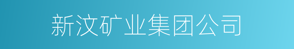 新汶矿业集团公司的同义词