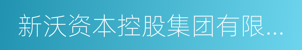 新沃资本控股集团有限公司的同义词