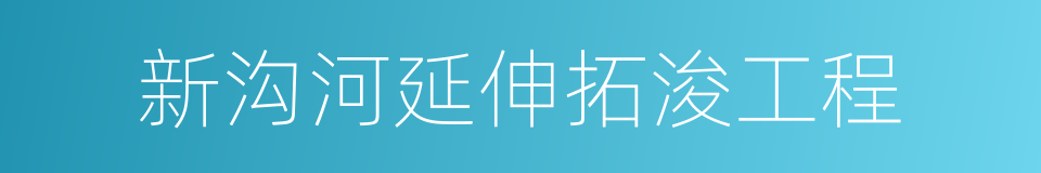 新沟河延伸拓浚工程的同义词