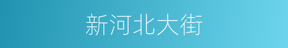 新河北大街的同义词