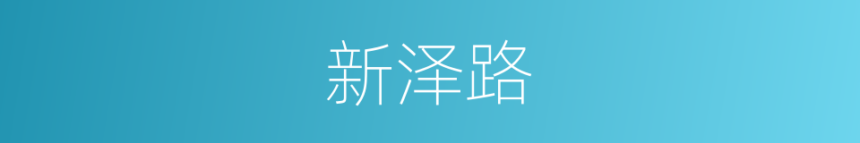 新泽路的同义词