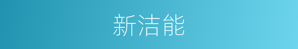 新洁能的同义词