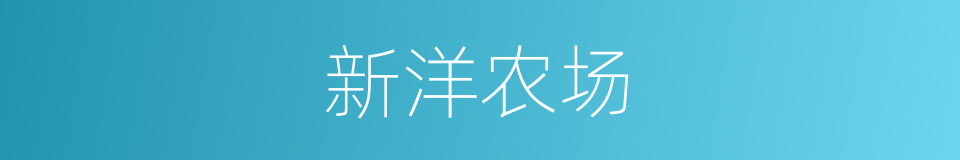 新洋农场的同义词
