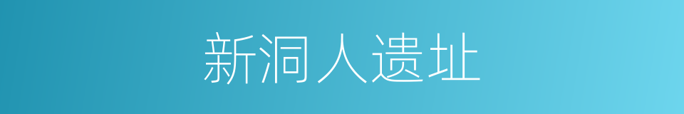 新洞人遗址的同义词