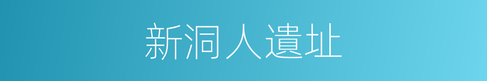 新洞人遺址的同義詞
