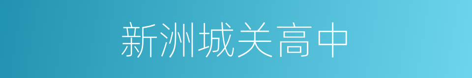 新洲城关高中的同义词