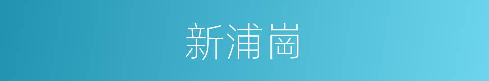 新浦崗的同義詞