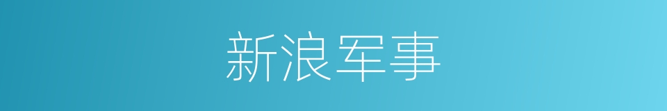 新浪军事的同义词