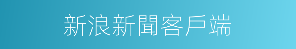 新浪新聞客戶端的同義詞