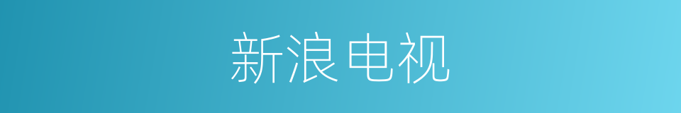 新浪电视的同义词