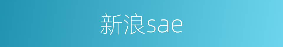 新浪sae的同义词