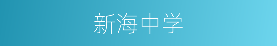 新海中学的同义词
