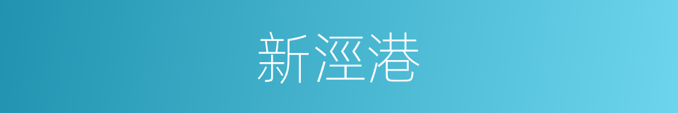 新涇港的同義詞