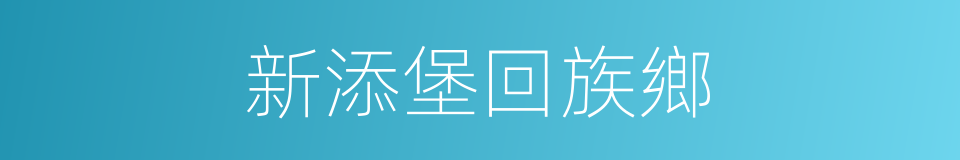 新添堡回族鄉的同義詞