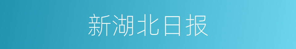 新湖北日报的同义词